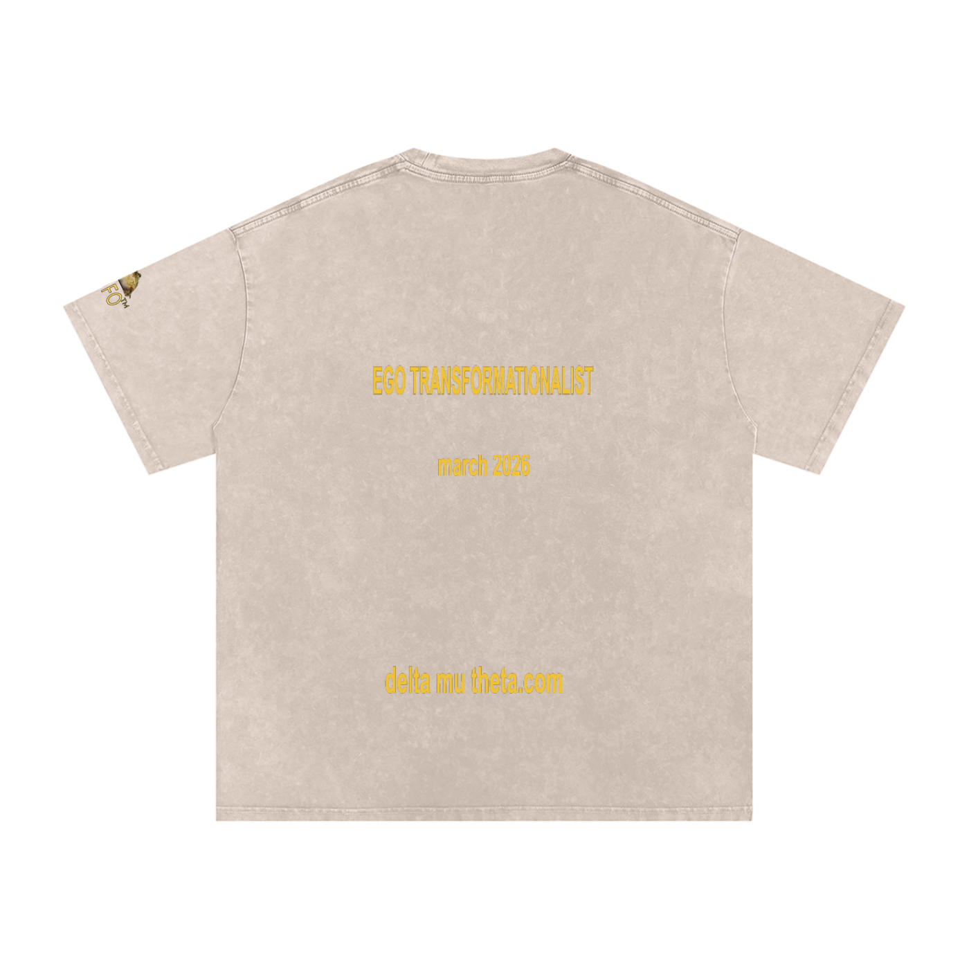 02// 5-MEO-DMT ARSENAL_R00037_Snow Washed Oversized Cotton T-Shirt