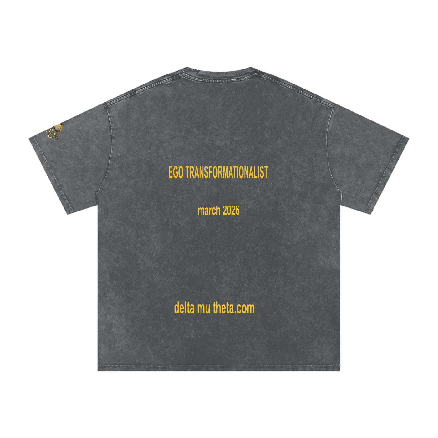 02// 5-MEO-DMT ARSENAL_R00037_Snow Washed Oversized Cotton T-Shirt