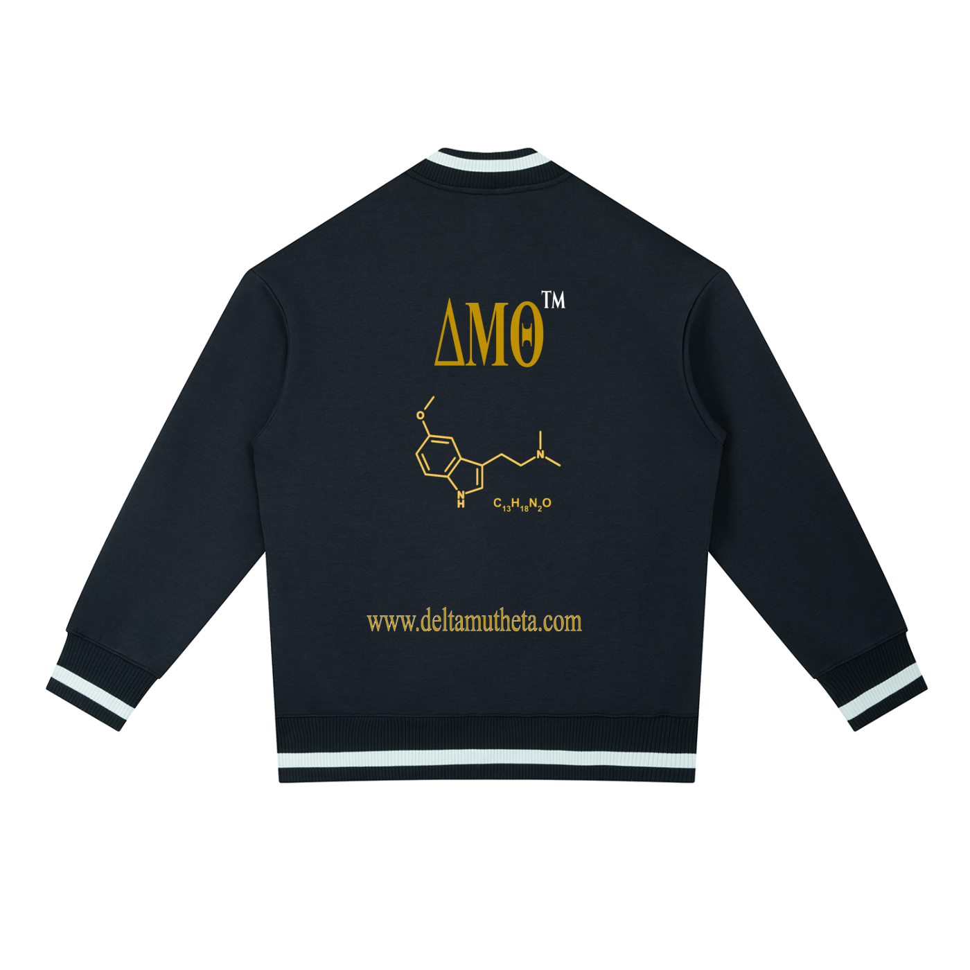 02 // 5-MEO-DMT ARSENAL // MARCH 2026 PETITION // [RQ0034)_Special Opps Bomber Jacket