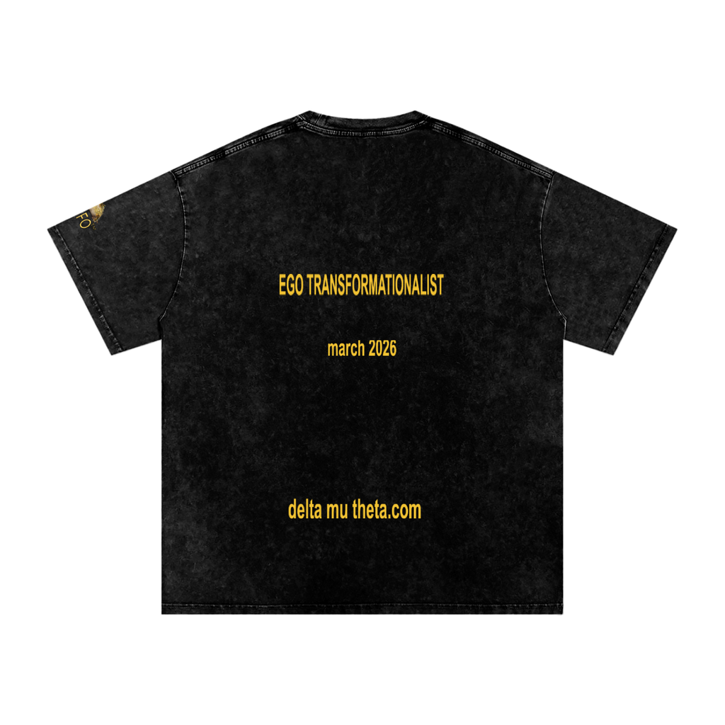 02// 5-MEO-DMT ARSENAL_R00037_Snow Washed Oversized Cotton T-Shirt
