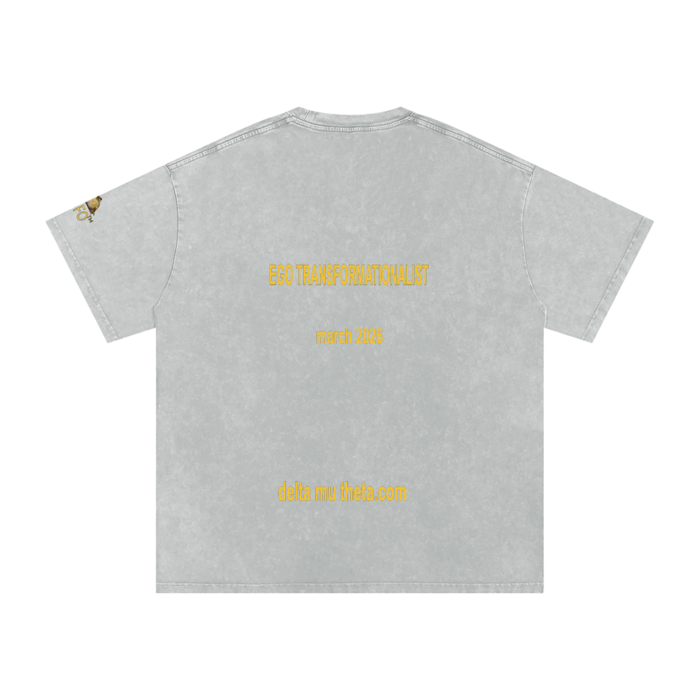 02// 5-MEO-DMT ARSENAL_R00037_Snow Washed Oversized Cotton T-Shirt