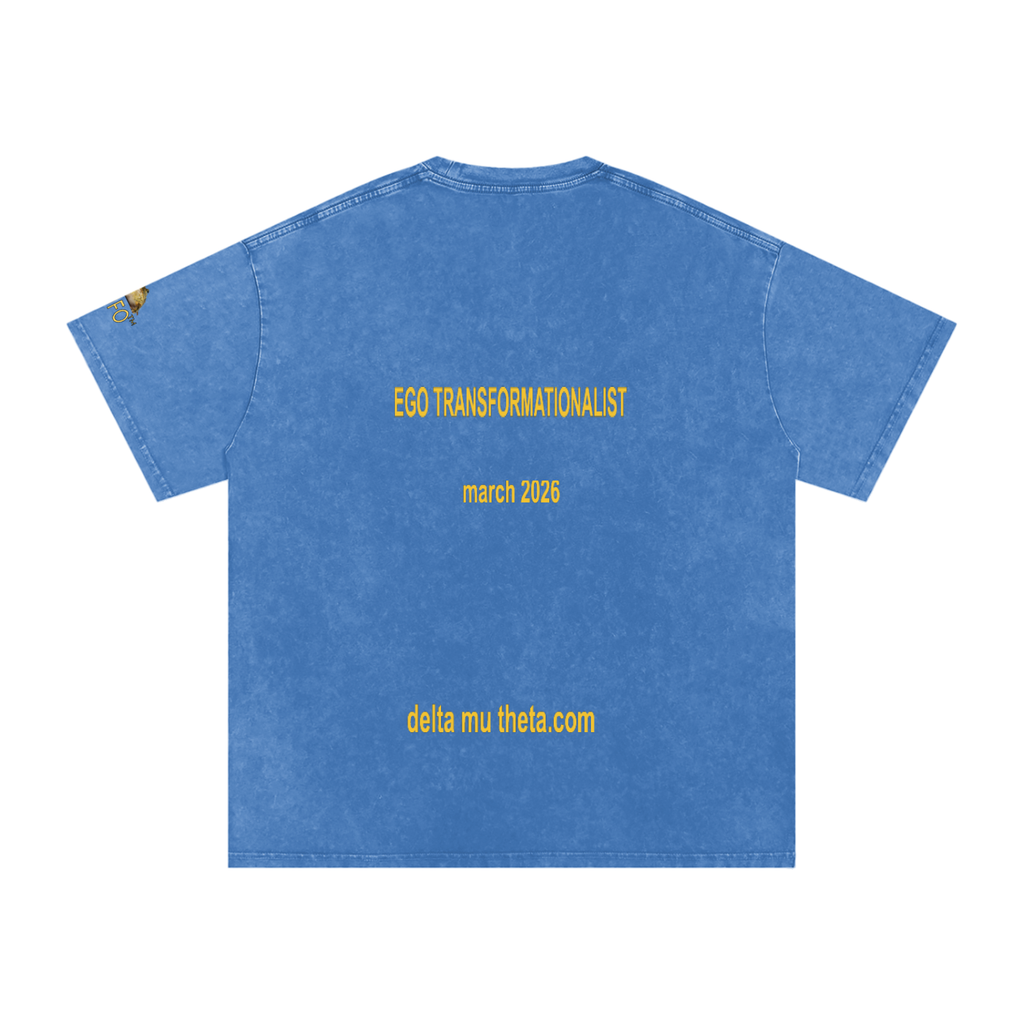 02// 5-MEO-DMT ARSENAL_R00037_Snow Washed Oversized Cotton T-Shirt