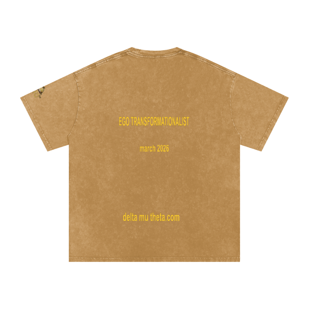 02// 5-MEO-DMT ARSENAL_R00037_Snow Washed Oversized Cotton T-Shirt